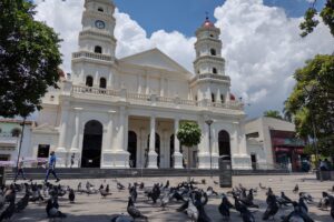 IMG_20210507_121200711_HDR